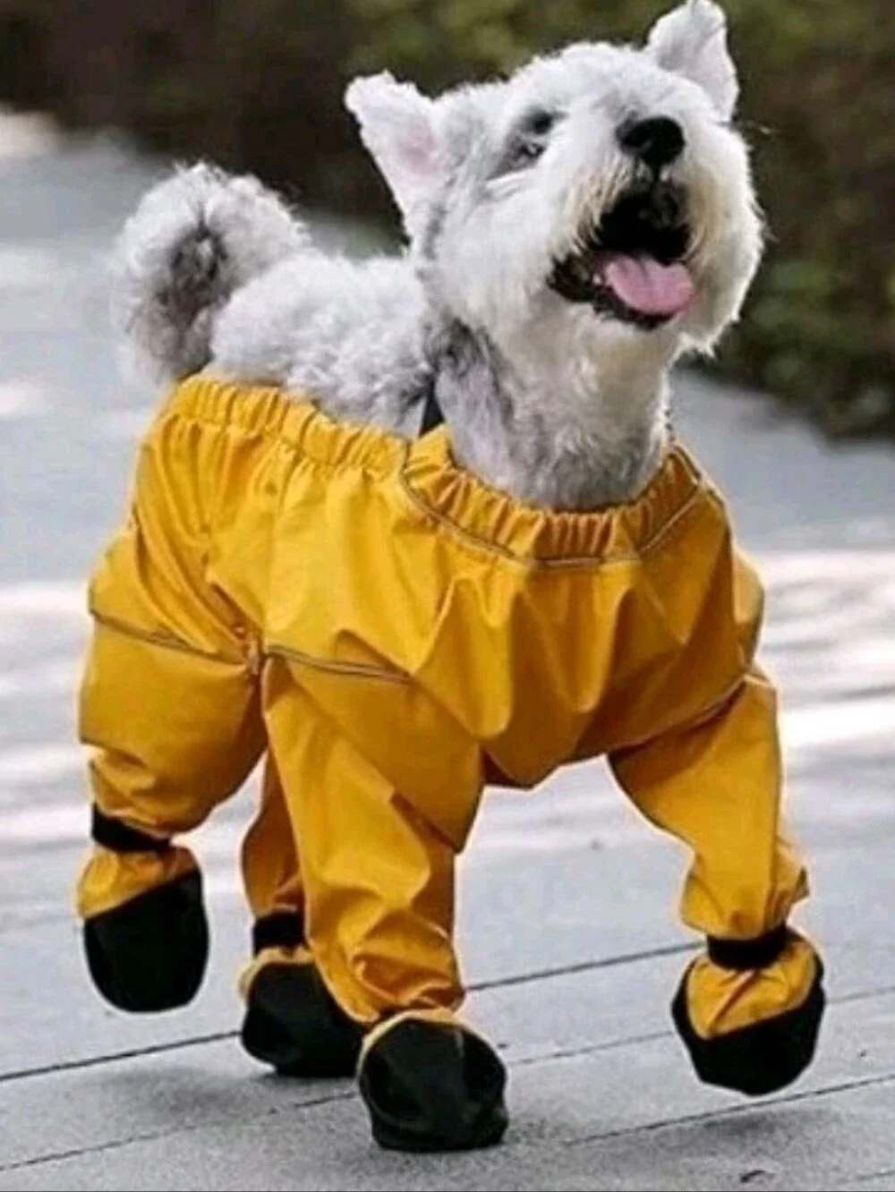 NWOT-Waterproof Yellow Dog Snow-Rain Suit & Booties 1pc Adjustable  X-Small